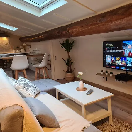 Cosy Loft Appartement Saint-Etienne (Loire)